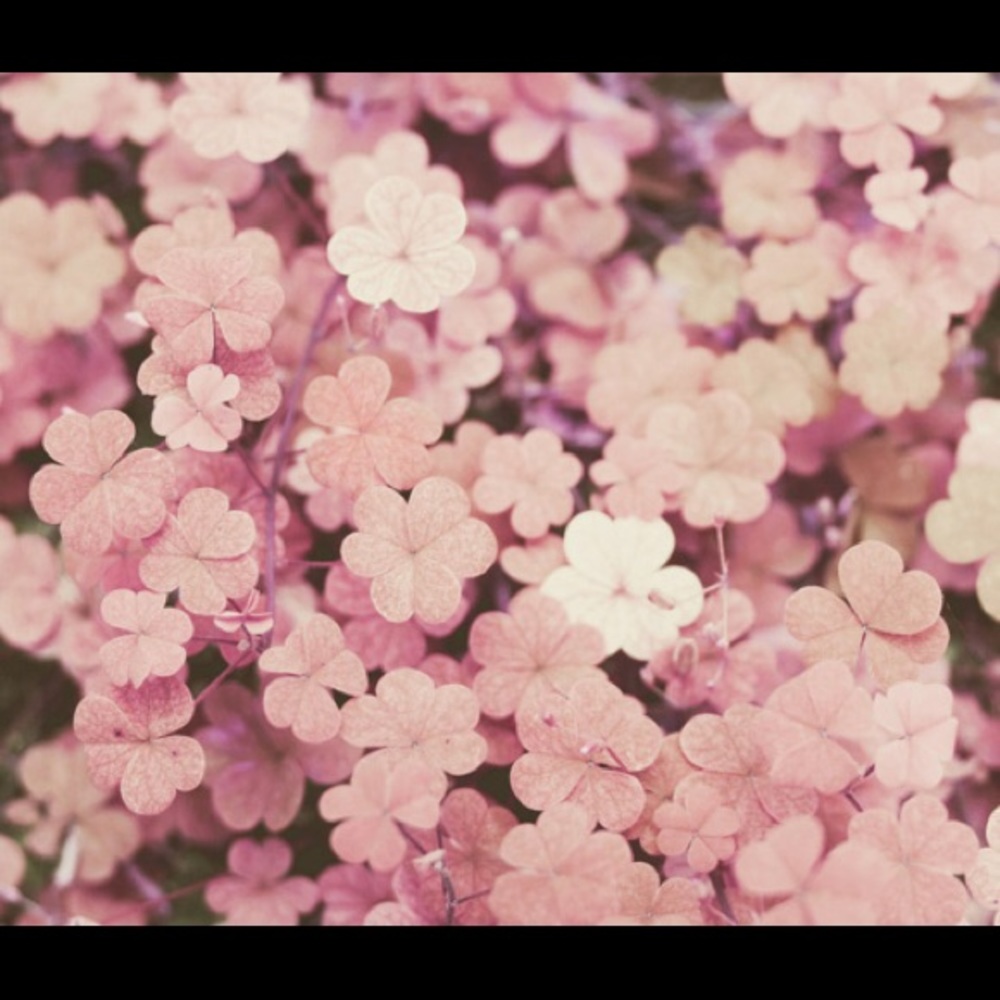 Meet your Posher, Bekah